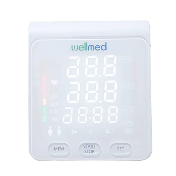 Máy đo huyết áp cao cấp Wellmed FDBP-A4