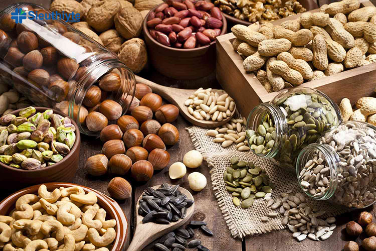 Các loại hạt là một số loại thức ăn bổ máu và giàu chất dinh dưỡng nhất