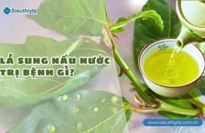 Lá sung nấu nước trị bệnh gì?