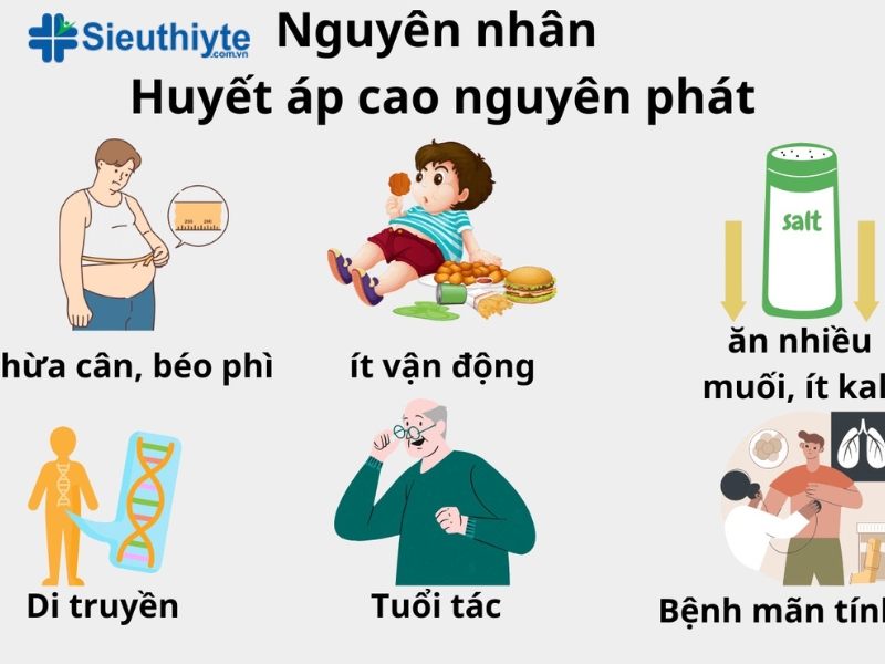 Nguyên nhân gây bệnh huyết áp cao vô căn 