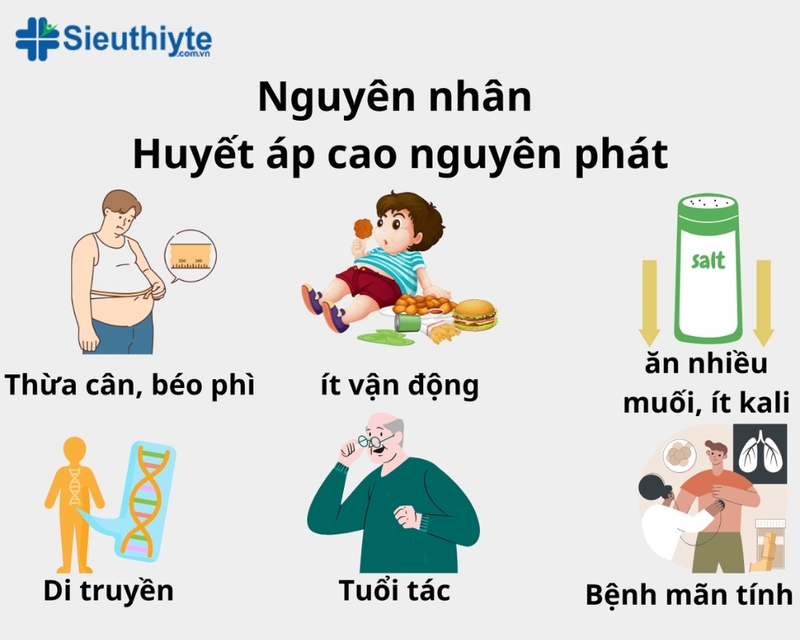 Nguyên nhân gây ra tình trạng cao huyết áp