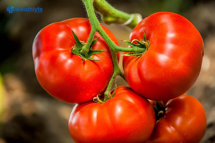 Tụt huyết áp không nên ăn gì? Câu trả lời là cà chua