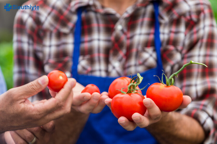 Hạt cà chua giúp ngăn ngừa đông máu và cải thiện lưu thông máu