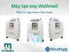 Máy tạo oxy Wellmed được sản xuất bởi công ty Dynmed trực thuộc tập đoàn hàng đầu trong việc sản xuất các thiết bị y tế Dynamic Group