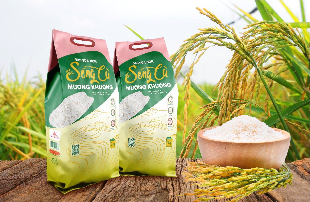 Gạo Séng Cù là sự lựa chọn không thể bỏ qua cho những ai muốn thưởng thức hương vị “đặc sản vùng cao”. Gạo Séng Cù là sự lựa chọn không thể bỏ qua cho những ai muốn thưởng thức hương vị “đặc sản vùng cao”.