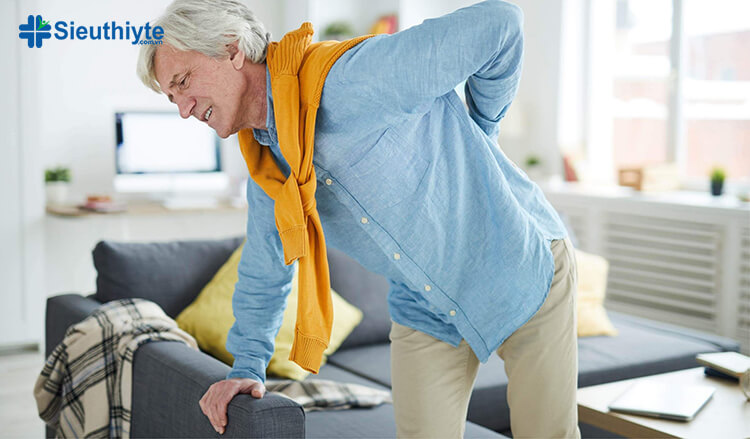 Bệnh đau lưng dưới ở người già có thể xuất phát bệnh thoái hóa đĩa đệm