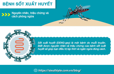 benh sot xuat huyet avt6