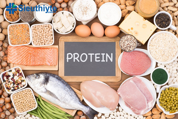 Thực phẩm giàu protein sẽ cung cấp năng lượng cho cơ thể