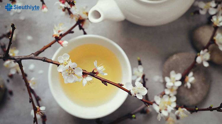 Trà trắng đẩy nhanh quá trình phân hủy tế bào mỡ và là loại trà thảo mộc giảm cân tốt