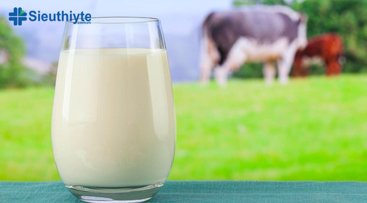 Sữa non là một nguồn năng lượng tự nhiên chứa các chất dinh dưỡng cần thiết cho cơ thể