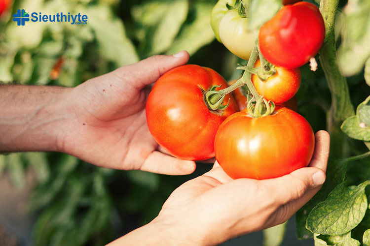 Vitamin C có nhiều trong thực phẩm nào? Cà chua cung cấp  17 mg vitamin C 