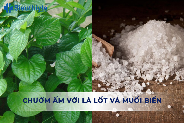 Chườm ấm với lá lốt và muối biển