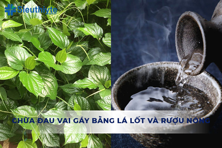 Cách hữa đau vai gáy bằng lá lốt và rượu nóng