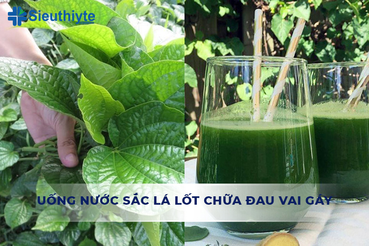 Uống nước sắc lá lốt giúp giảm co cứng đốt sống cổ