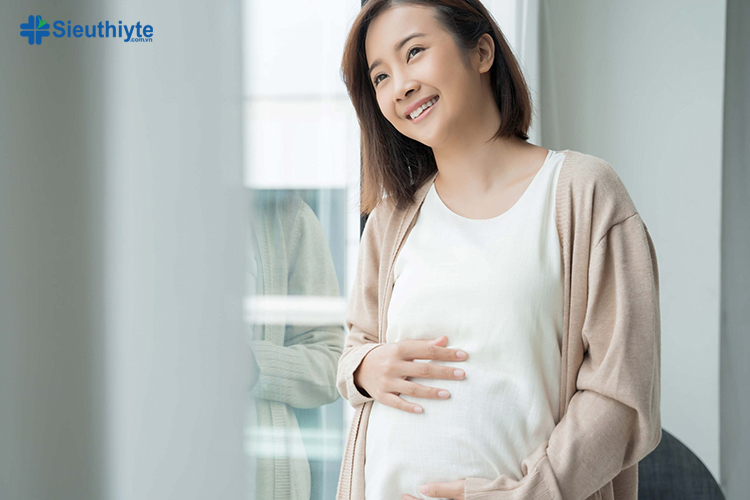 Phụ nữ mang thai 3 tháng đầu tuyệt đối không được dùng lá đinh lăng
