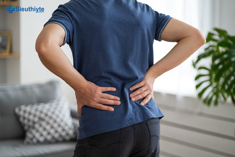 Có 3 loại đau lưng phổ biến đau lưng cấp tính, bán cấp và mãn tính