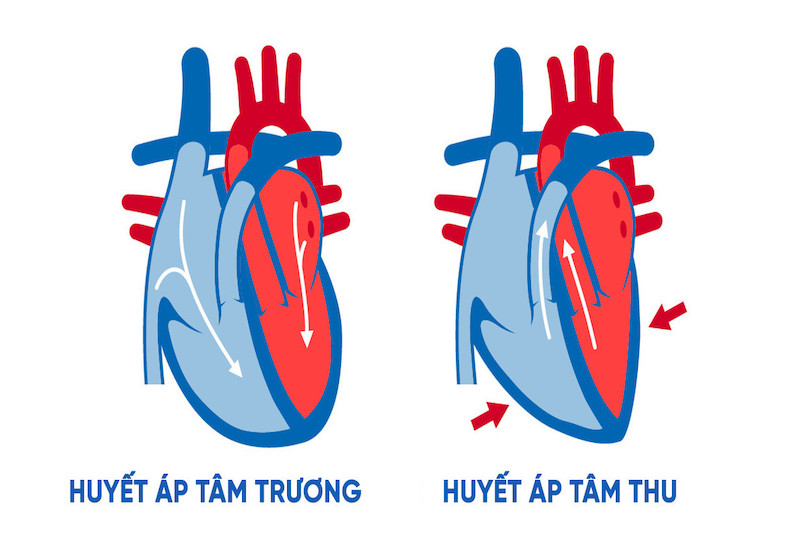 Huyết áp tâm thu và huyết áp tâm trương chỉ số sức khỏe quan trọng