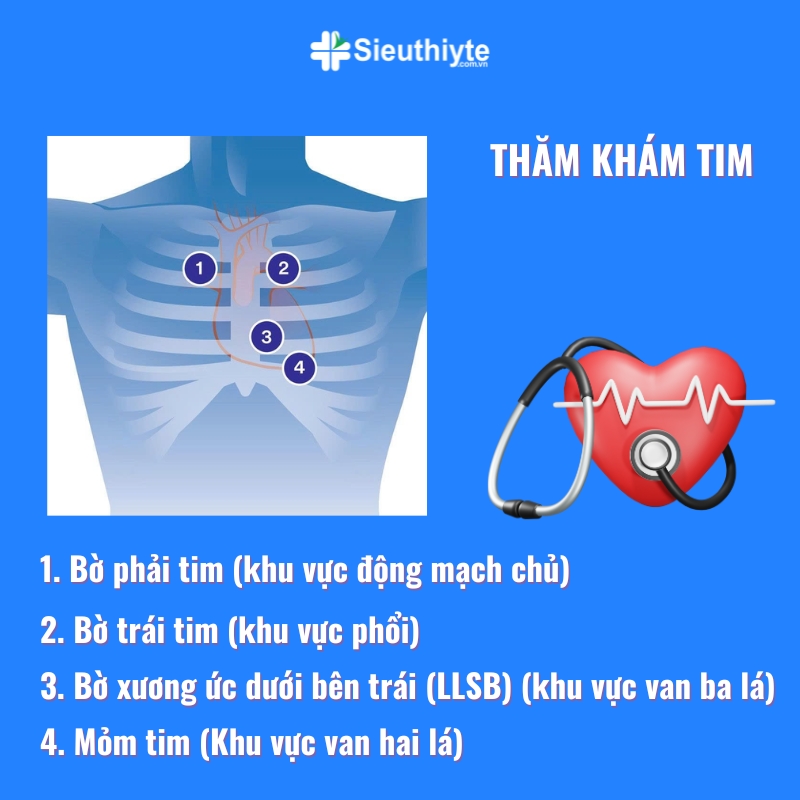 cac loai ong nghe y te, tai nghe bac si