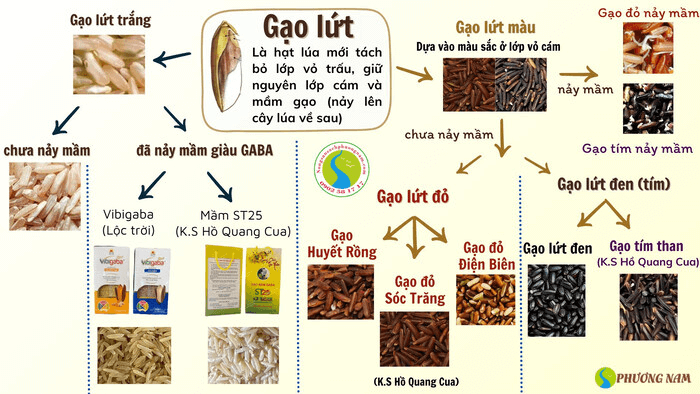 an-gao-lut-co-tac-dung-gi-3