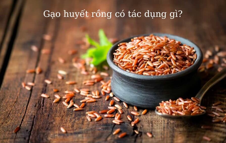 gao-lut-huyet-rong-co-tac-dung-gi-03