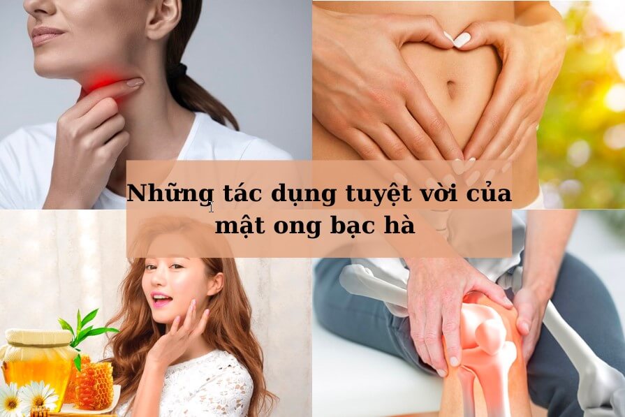 mat-ong-hoa-bac-ha-co-tac-dung-gi-5