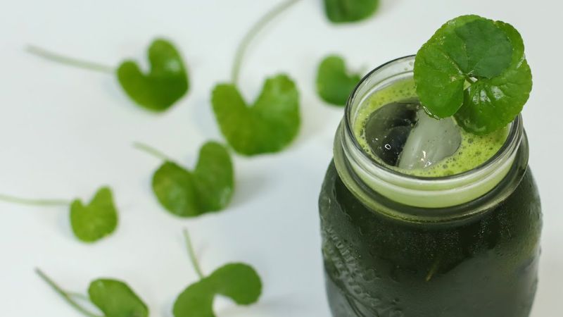 Rau má - Detox giảm cân cho mẹ cho con bú