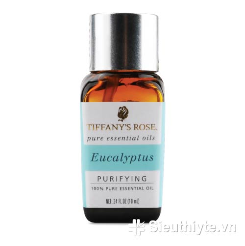Tinh dầu Eucalyptus (Bạch Đàn, Khuynh Diệp)