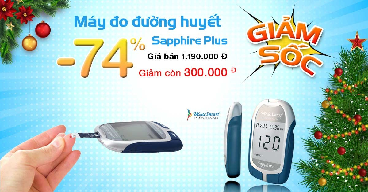 Chào mừng Giáng sinh và năm mới 2017
